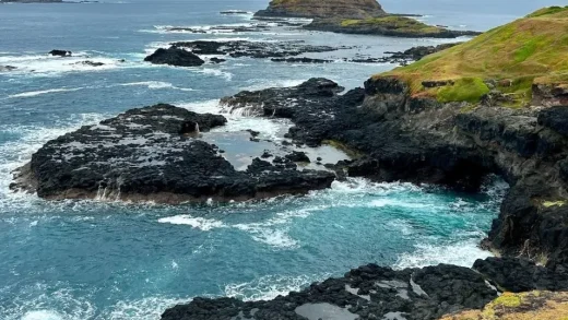Phillip Island Nature Parks