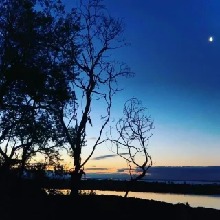 Conservation Hill Observation Tower