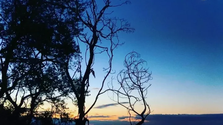 Conservation Hill Observation Tower