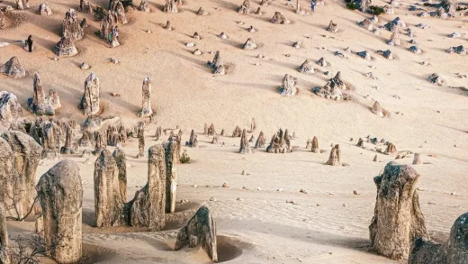 Pinnacles Desert Journey Through Time