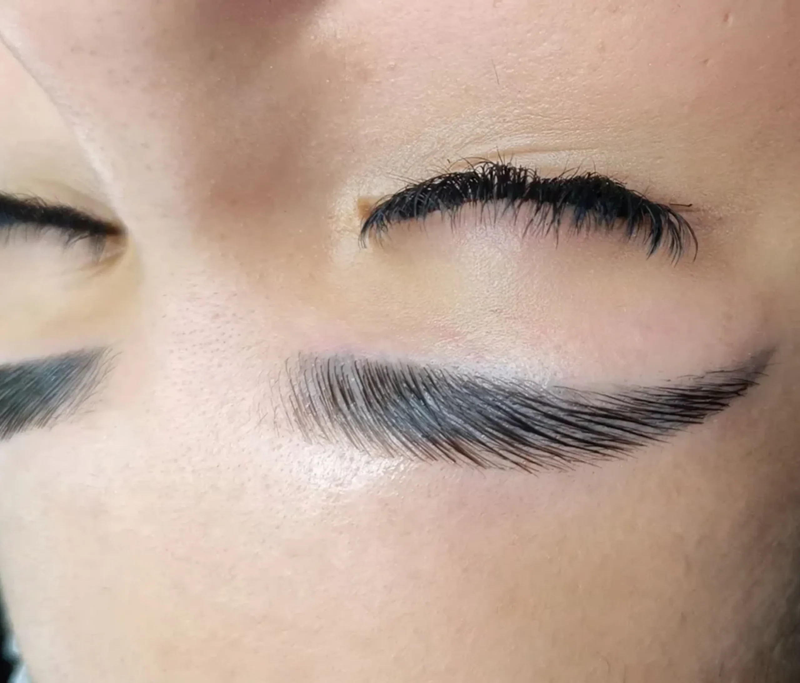 tint vs tattoo brows