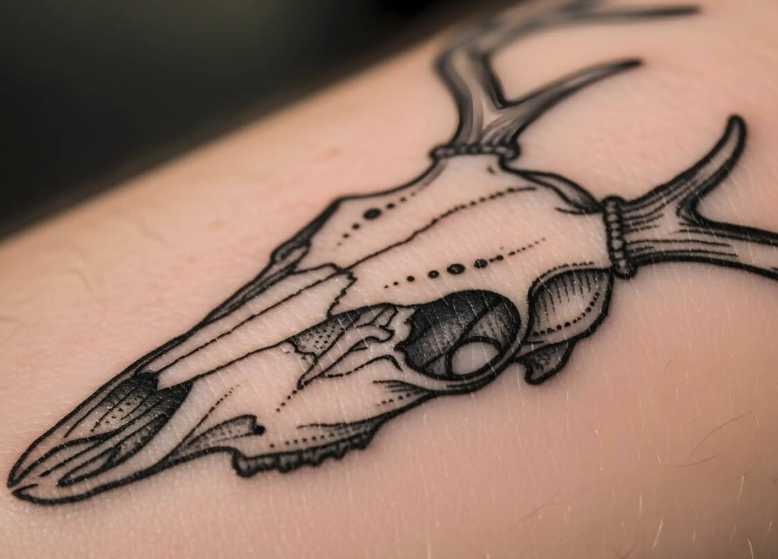 best fine line tattoo course